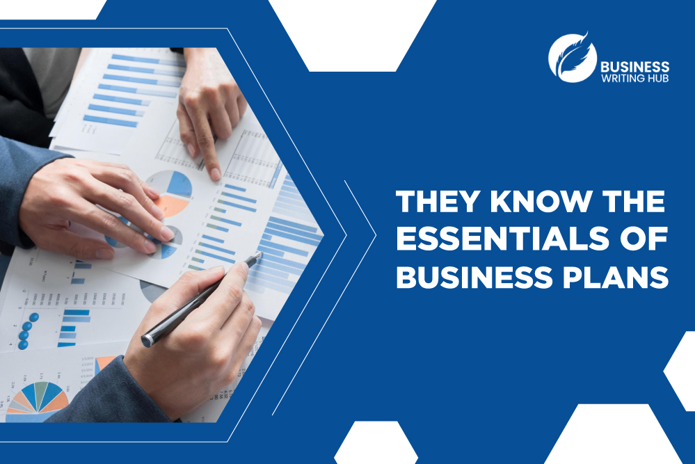 professional business plan consultant