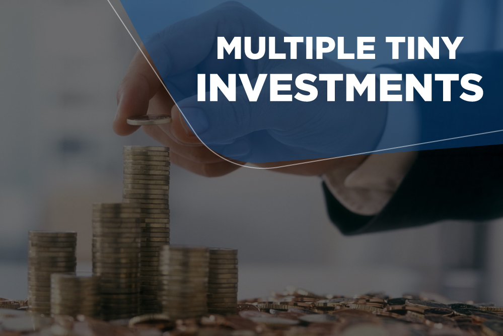 Business Plan for Investors